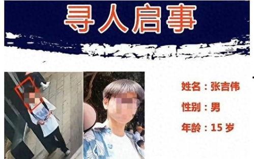 国产高清爽推理片多多,国产高清爽推理片多多揭秘真相之旅